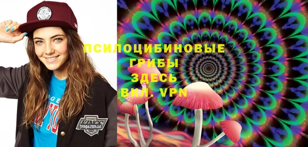 соль ск Михайлов