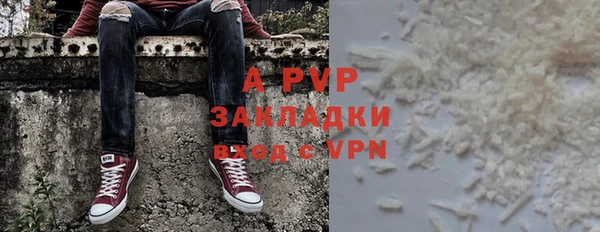 прущие грибы Наволоки