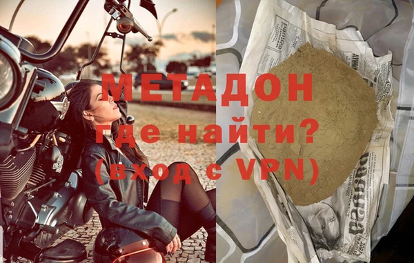 прущие грибы Наволоки