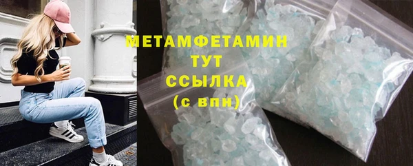 прущие грибы Наволоки