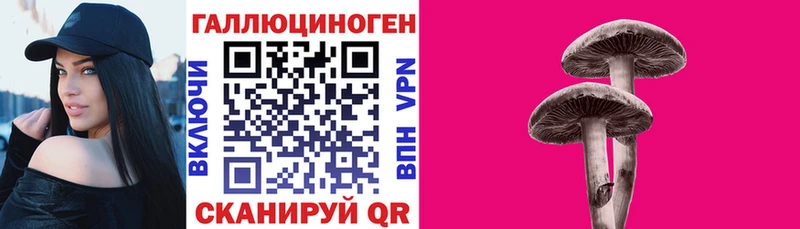 закладка  Лысьва  Галлюциногенные грибы мицелий 