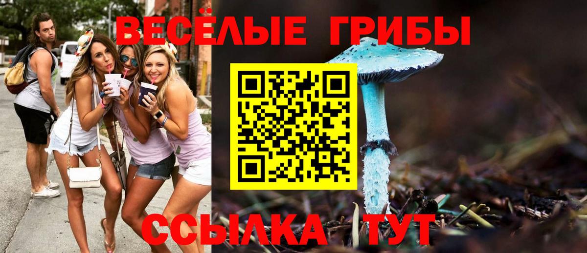 Лысьва  Псилоцибиновые грибы GOLDEN TEACHER  Вход с VPN  Псилоцибиновые грибы GOLDEN TEACHER 