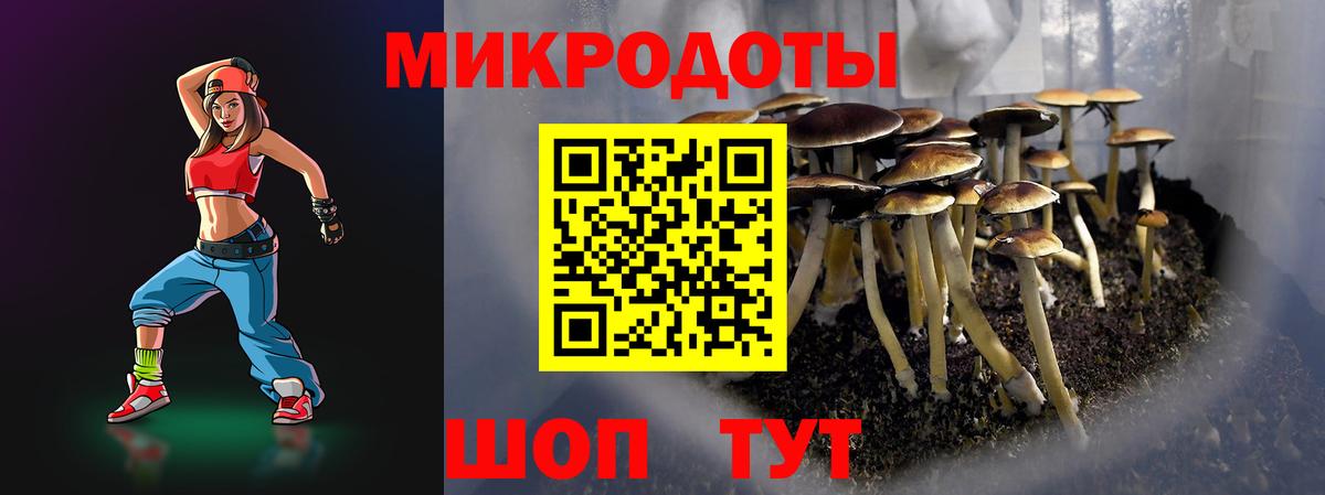 Галлюциногенные грибы Psilocybine cubensis Лысьва